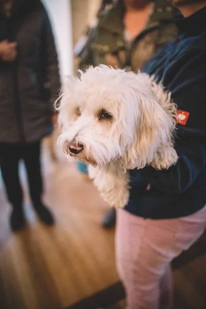 eventfotograf objektiv