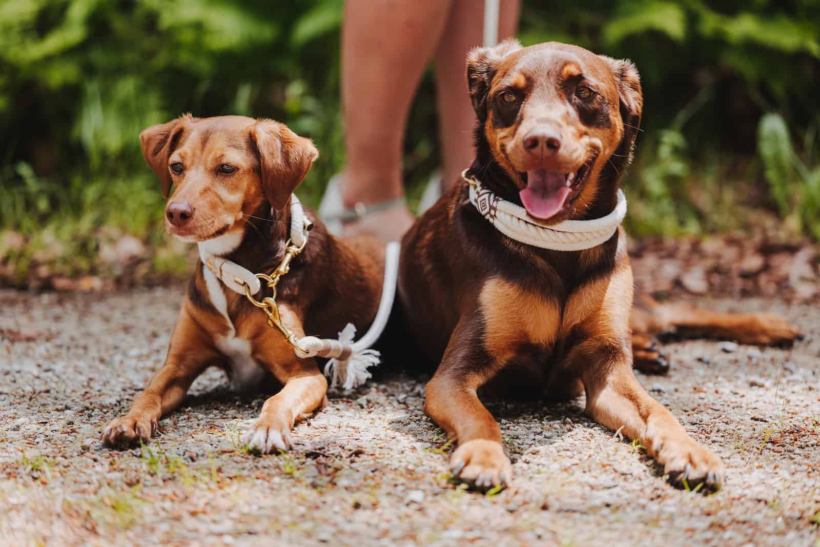 hochzeitsfotografie lohberg 41