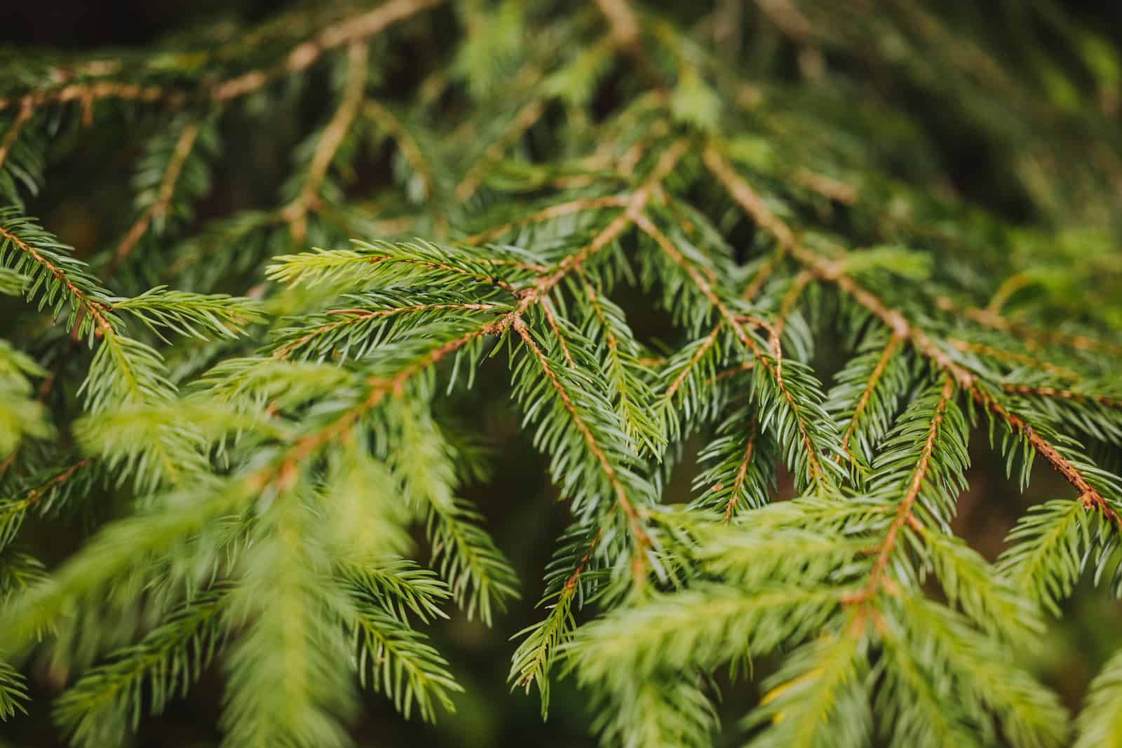 hochzeitsfotografie lohberg 58