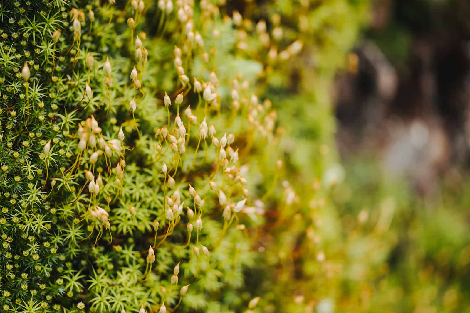 hochzeitsfotografie lohberg 59