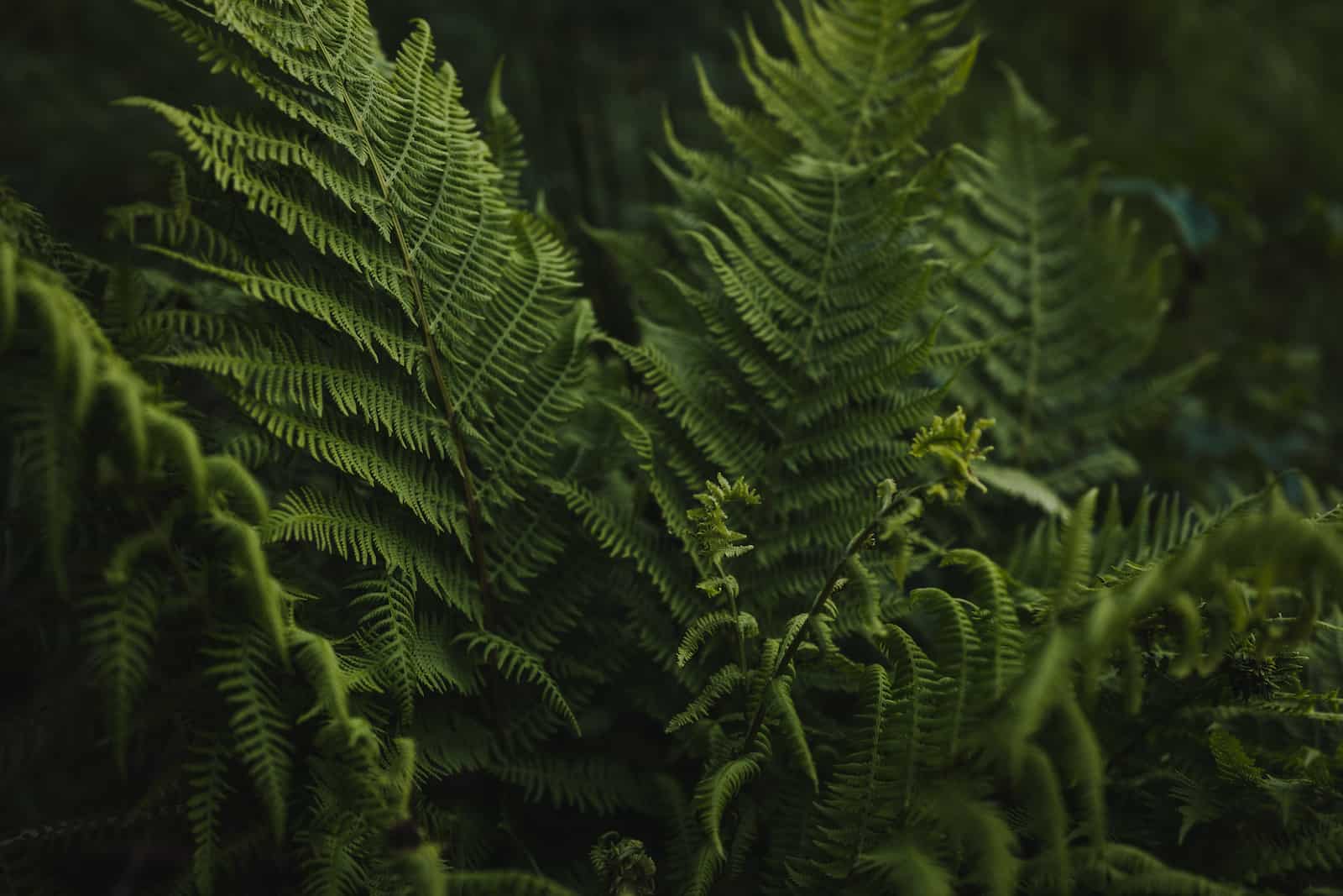 hochzeitsfotografie lohberg 77