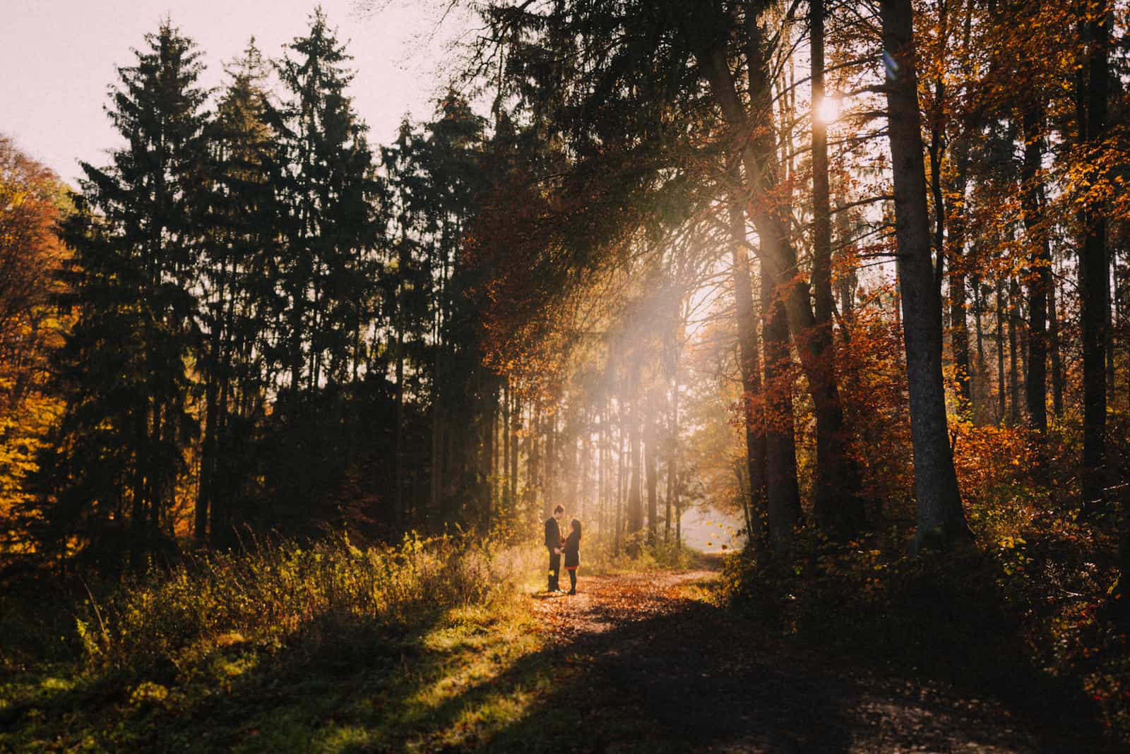 Paar-Fotoshooting im herbstlichen Wald bei Cleversulzbach, festgehalten vom Hochzeitsfotografen Heilbronn