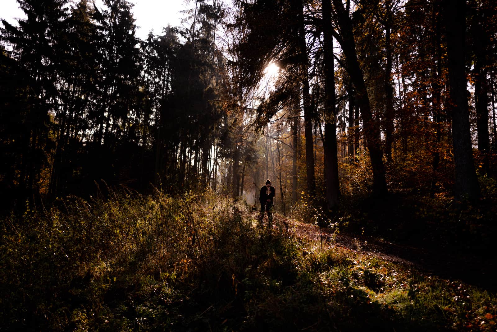 Paar-Fotoshooting im Wald bei Cleversulzbach, festgehalten vom Fotografen Niklas Hesser, bekannt für seine Hochzeitsfotografie in Heilbronn.