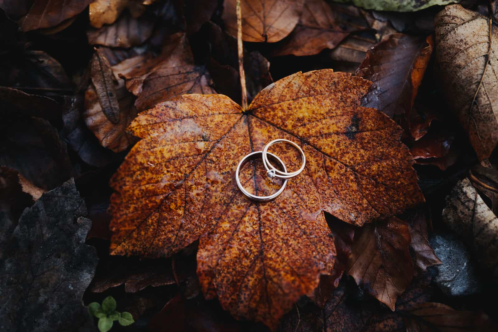 Paar-Shooting in Cleversulzbach mit Fokus auf natürliche Hochzeitsfotografie