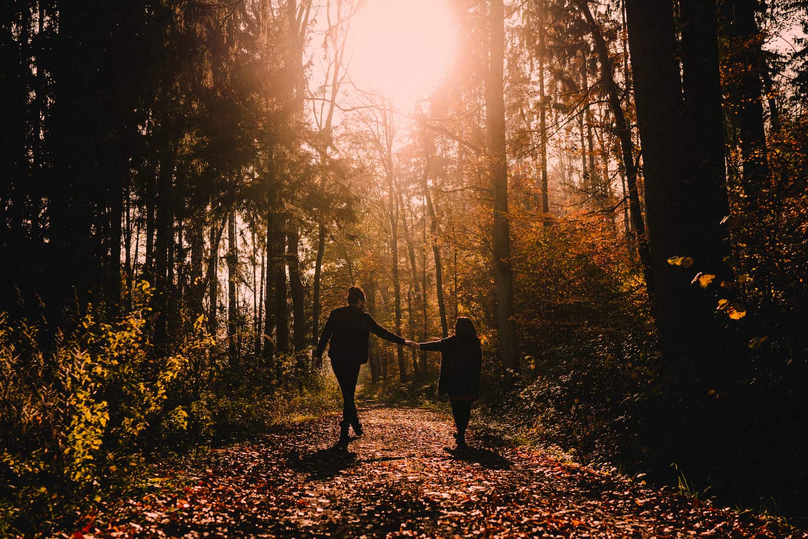 Paar-Fotoshooting im herbstlichen Wald bei Cleversulzbach, aufgenommen vom Fotografen Heilbronn.
