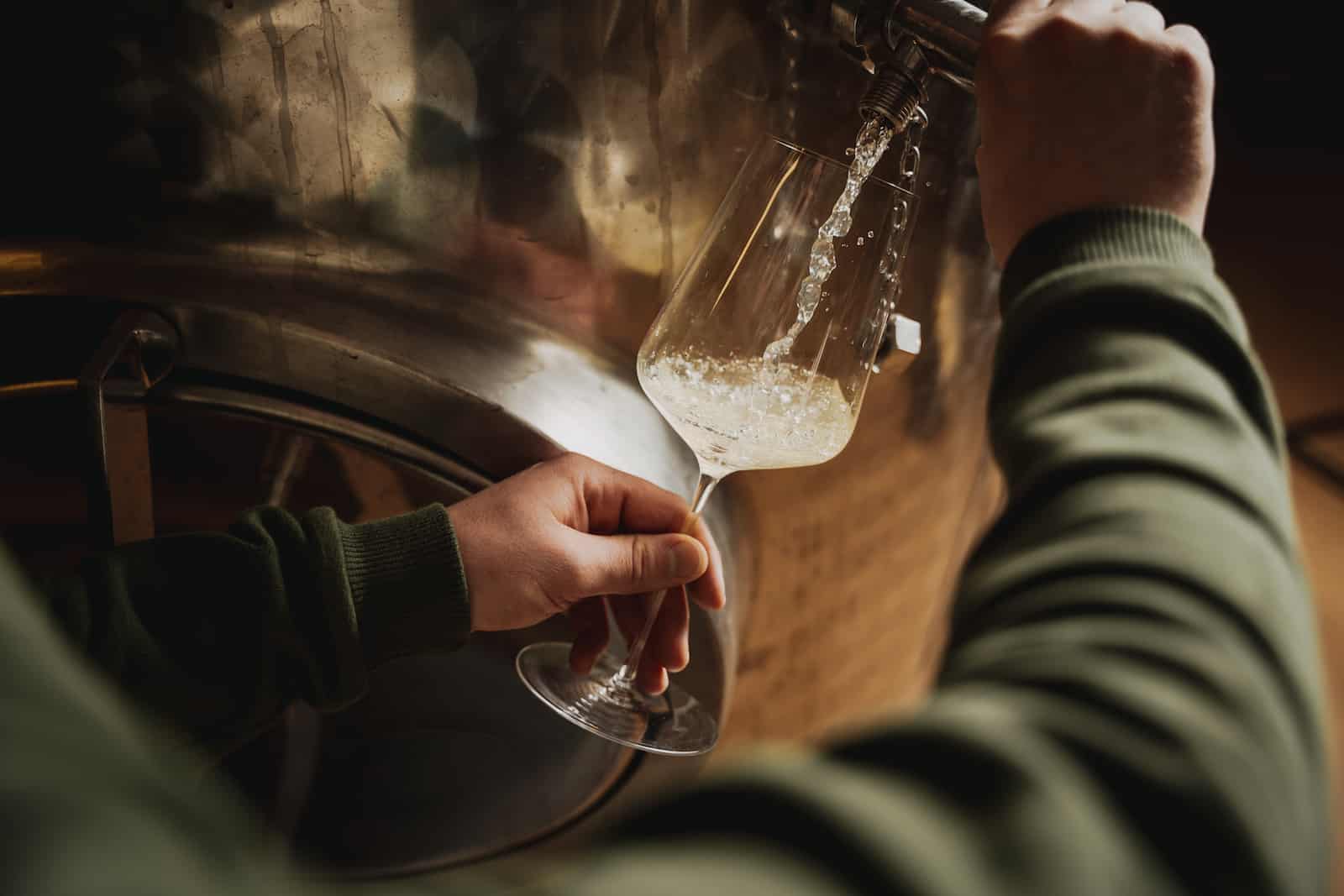 Weinprobe in Erlenbach, festgehalten vom Eventfotografen Niklas Hesser