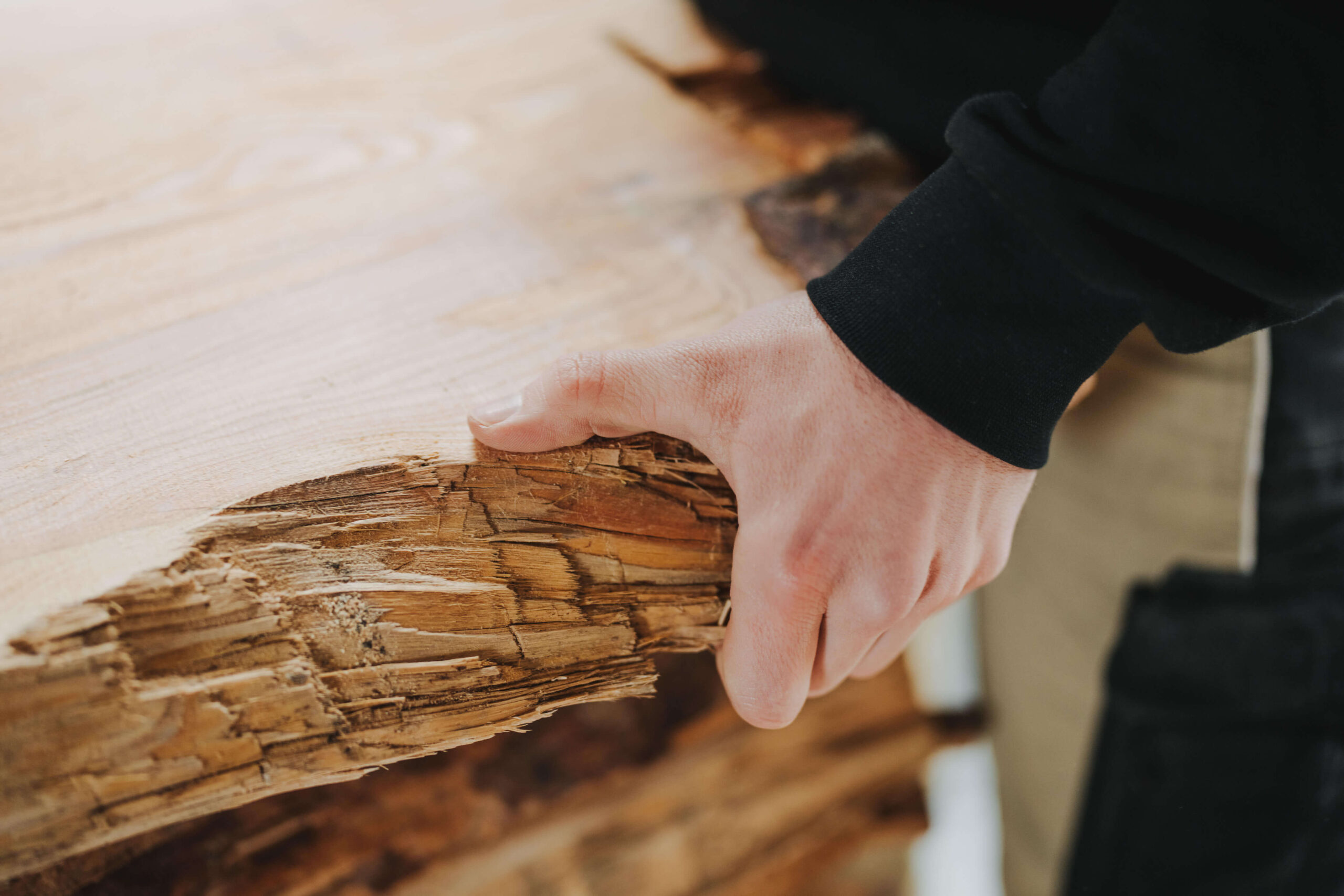 Detailaufnahme eines Holzstücks bei einem Business-Shooting in Obersulm, fotografiert vom Eventfotografen Niklas Hesser.